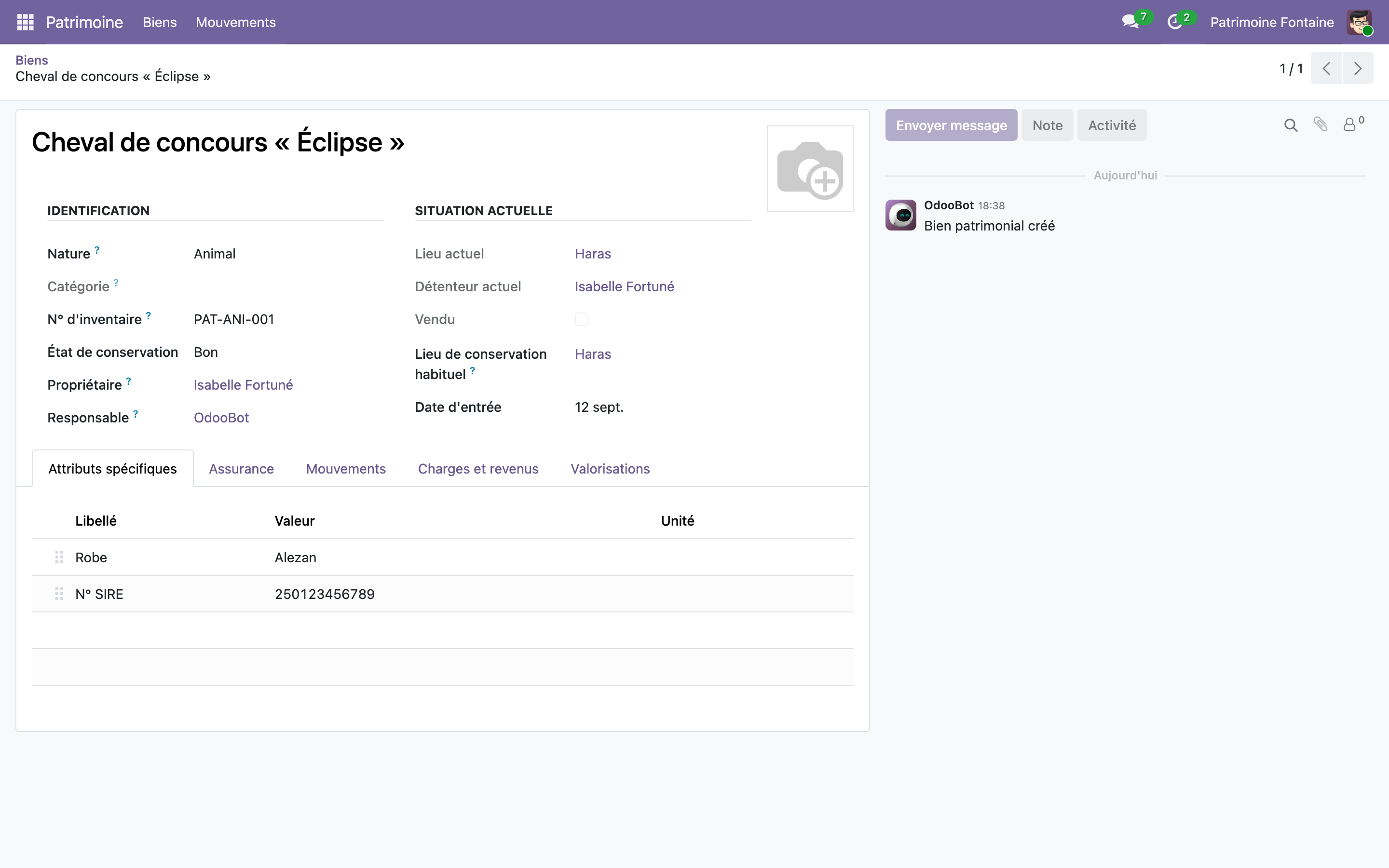 Capture de Patrimoine DYONYSOS — Socle technique (biens, lieux, mouvements) dans Odoo 19