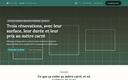 Capture d'écran — Thème Enduit — Peinture, plâtrerie et rénovation intérieure (gratuit)