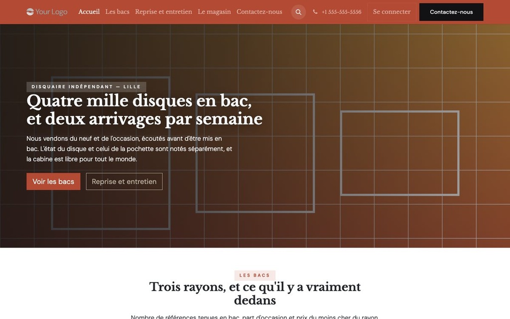 Capture d'écran — Thème Platine — Disquaire indépendant (complet)